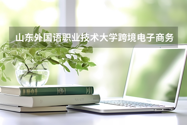 山东外国语职业技术大学跨境电子商务专业分数线是多少(近三年分数线一览)