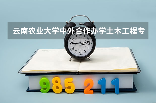 云南农业大学中外合作办学土木工程专业毕业证有标注中外合作吗