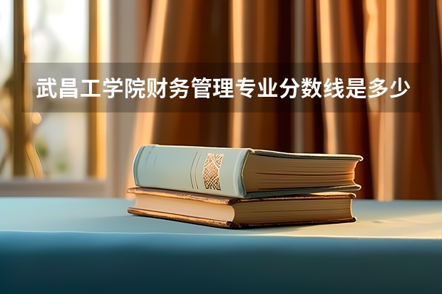 武昌工学院财务管理专业分数线是多少(近三年分数线一览)