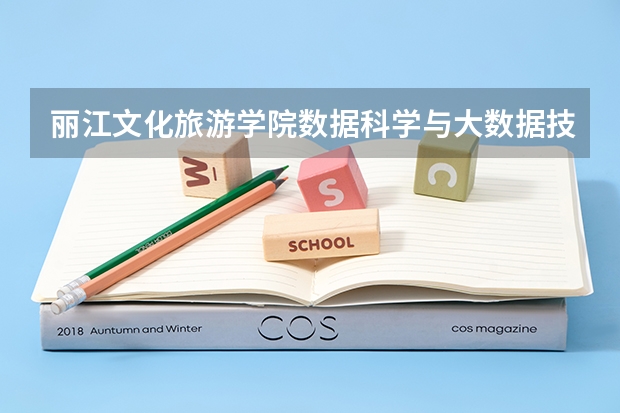 丽江文化旅游学院数据科学与大数据技术专业分数线是多少(近三年分数线一览)
