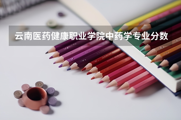 云南医药健康职业学院中药学专业分数线是多少(近三年分数线一览)
