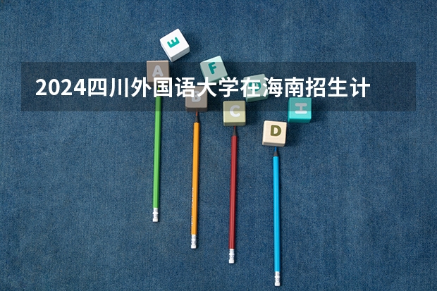 2024四川外国语大学在海南招生计划表