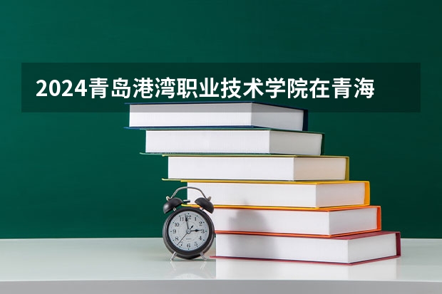 2024青岛港湾职业技术学院在青海招生计划表