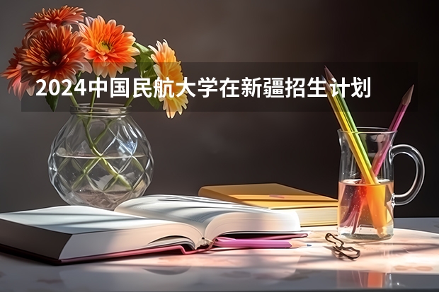 2024中国民航大学在新疆招生计划表