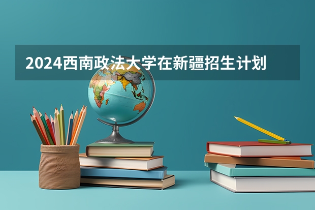 2024西南政法大学在新疆招生计划表