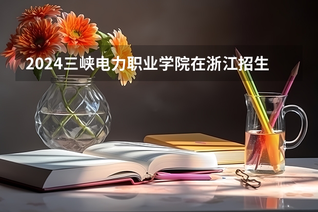 2024三峡电力职业学院在浙江招生计划表