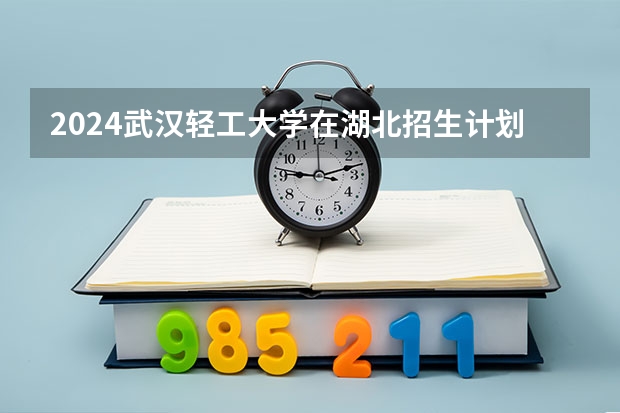 2024武汉轻工大学在湖北招生计划表