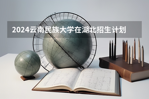 2024云南民族大学在湖北招生计划表