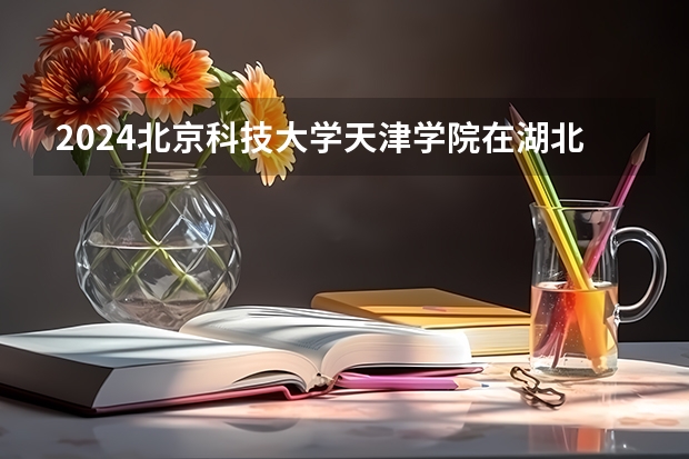 2024北京科技大学天津学院在湖北招生计划表
