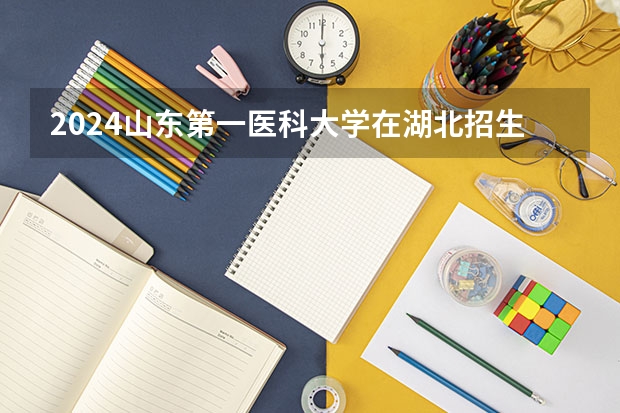 2024山东第一医科大学在湖北招生计划表