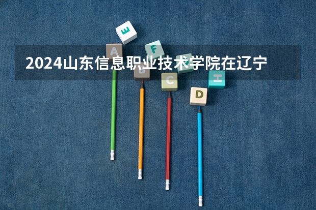 2024山东信息职业技术学院在辽宁招生计划表