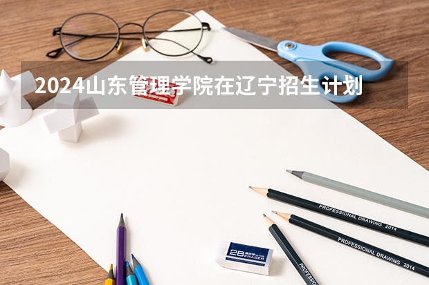 2024山东管理学院在辽宁招生计划表
