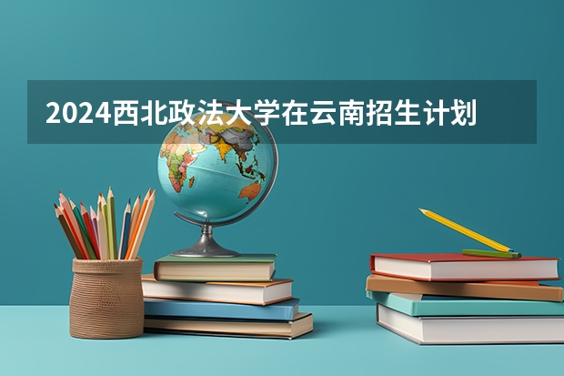 2024西北政法大学在云南招生计划表