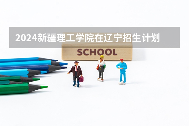 2024新疆理工学院在辽宁招生计划表