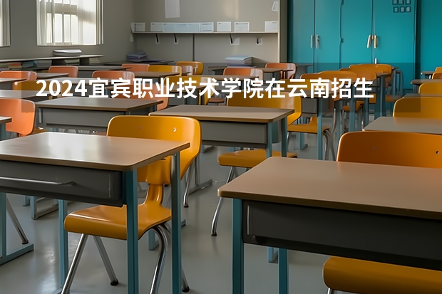 2024宜宾职业技术学院在云南招生计划表