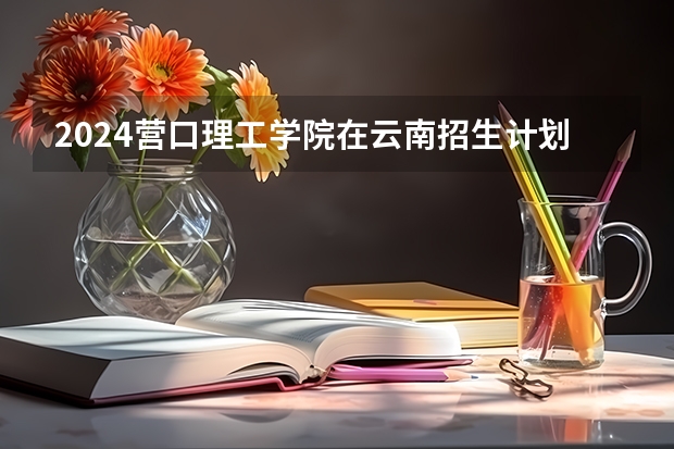 2024营口理工学院在云南招生计划表