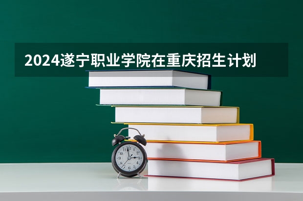 2024遂宁职业学院在重庆招生计划表