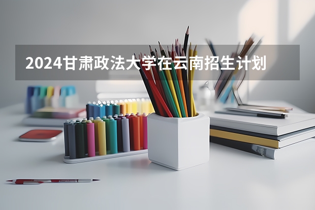 2024甘肃政法大学在云南招生计划表
