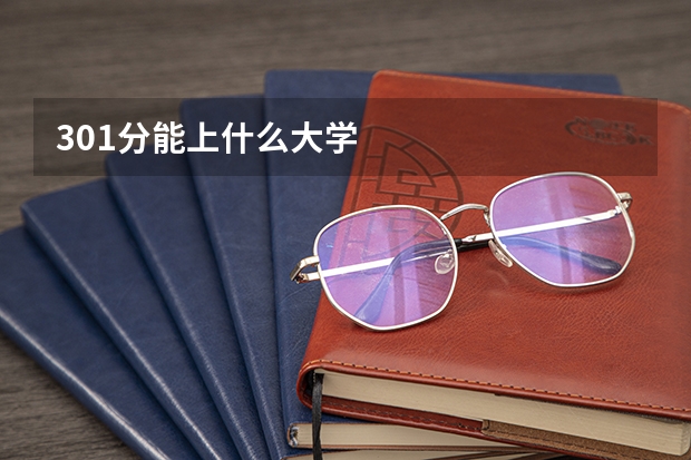301分能上什么大学