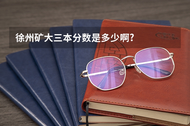 徐州矿大三本分数是多少啊?