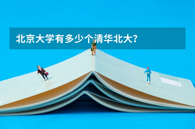 北京大学有多少个清华北大？