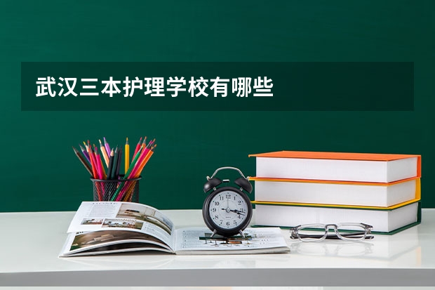 武汉三本护理学校有哪些