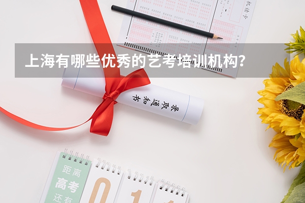 上海有哪些优秀的艺考培训机构？