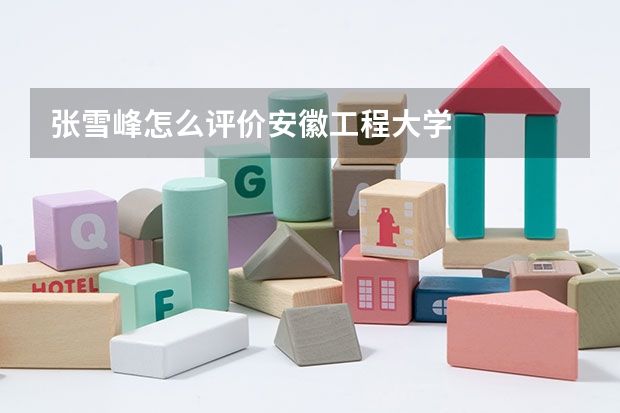 张雪峰怎么评价安徽工程大学