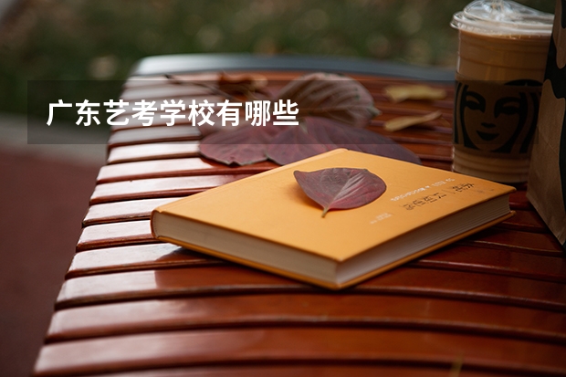 广东艺考学校有哪些