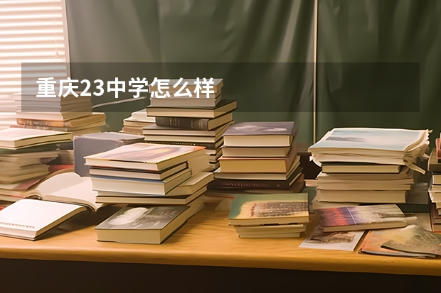 重庆23中学怎么样