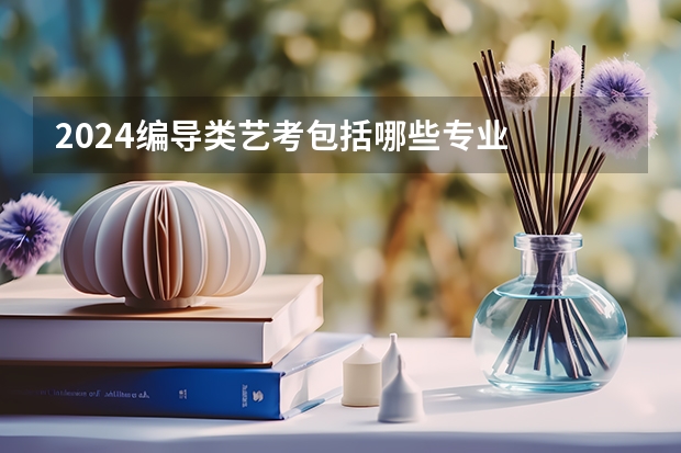 2024编导类艺考包括哪些专业