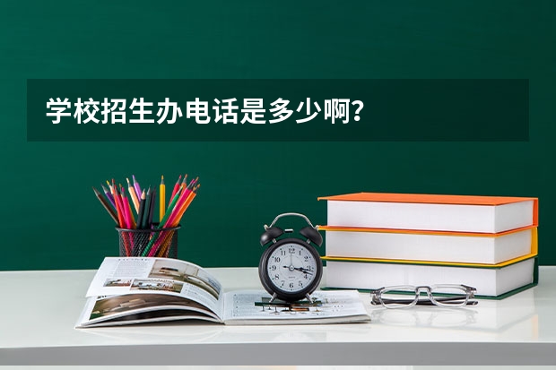 学校招生办电话是多少啊？