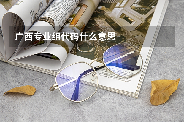 广西专业组代码什么意思