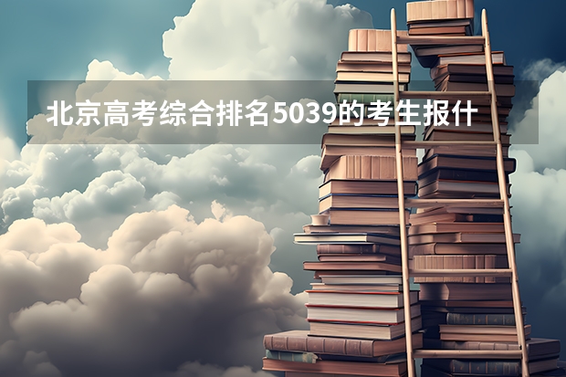 北京高考综合排名5039的考生报什么大学