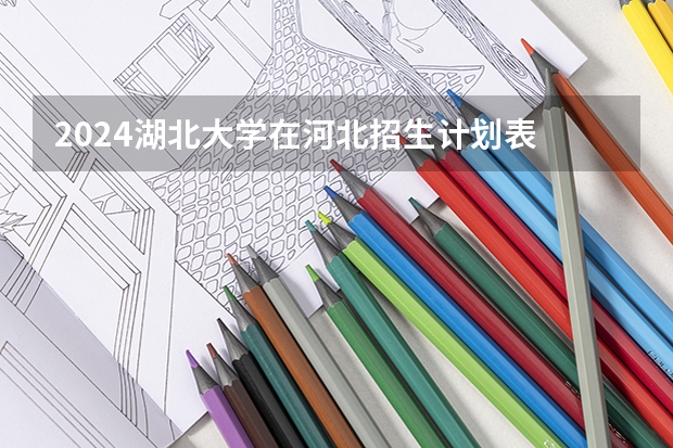 2024湖北大学在河北招生计划表