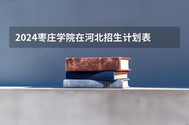 2024枣庄学院在河北招生计划表