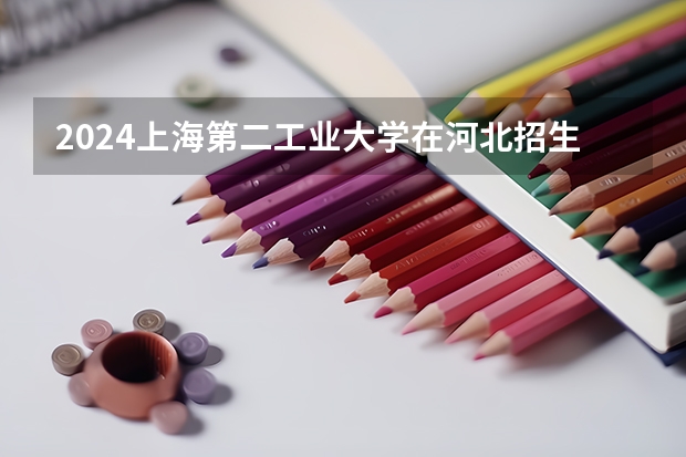 2024上海第二工业大学在河北招生计划表