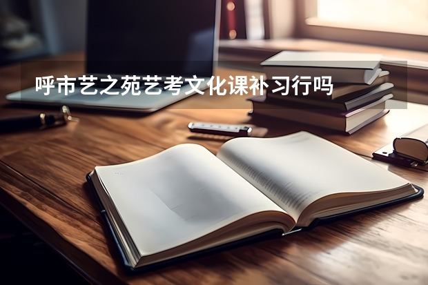 呼市艺之苑艺考文化课补习行吗