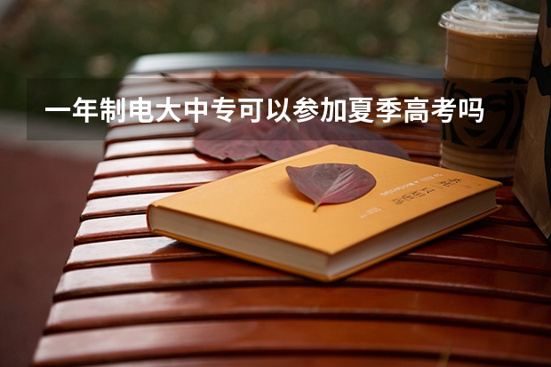 一年制电大中专可以参加夏季高考吗