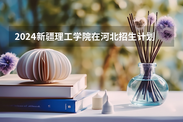 2024新疆理工学院在河北招生计划表