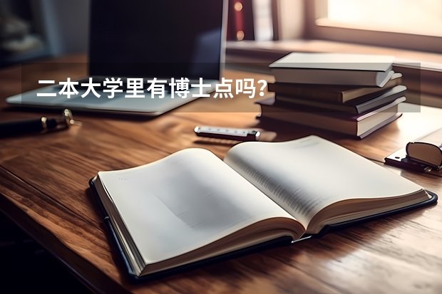 二本大学里有博士点吗？