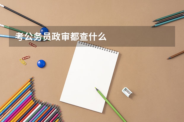 考公务员政审都查什么