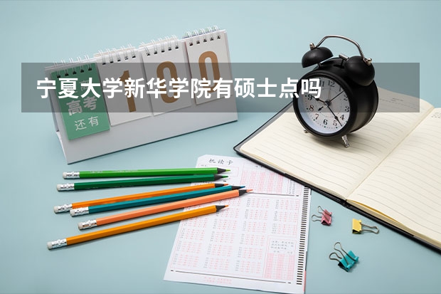 宁夏大学新华学院有硕士点吗