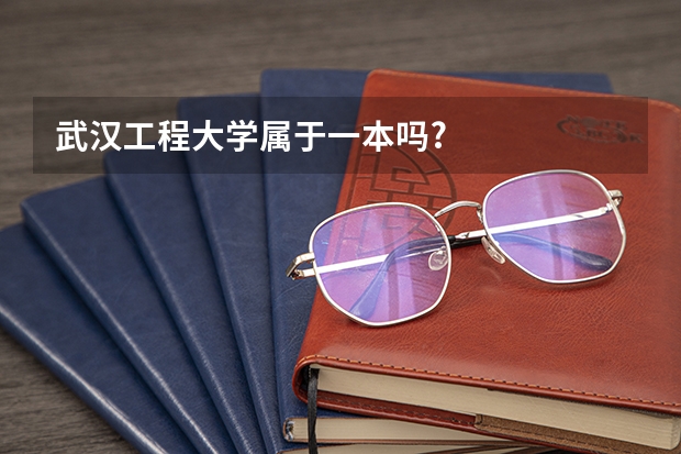 武汉工程大学属于一本吗?