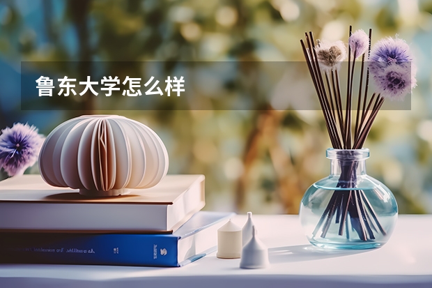 鲁东大学怎么样