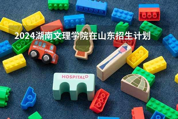 2024湖南文理学院在山东招生计划表