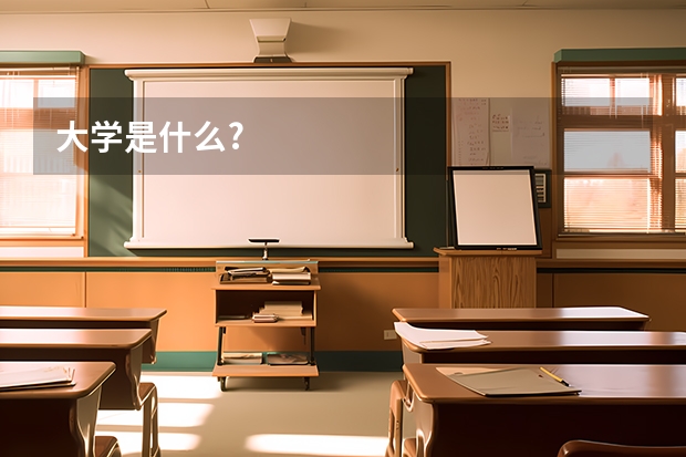 大学是什么?