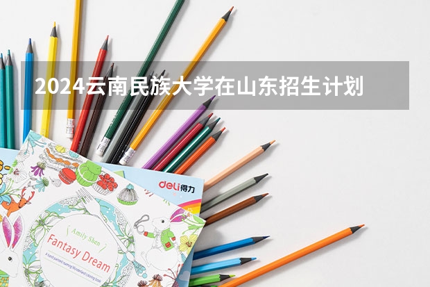 2024云南民族大学在山东招生计划表