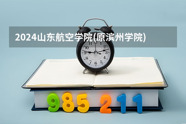 2024山东航空学院(原滨州学院)在山东招生计划表