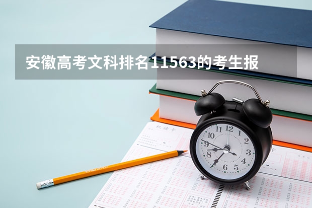 安徽高考文科排名11563的考生报什么大学